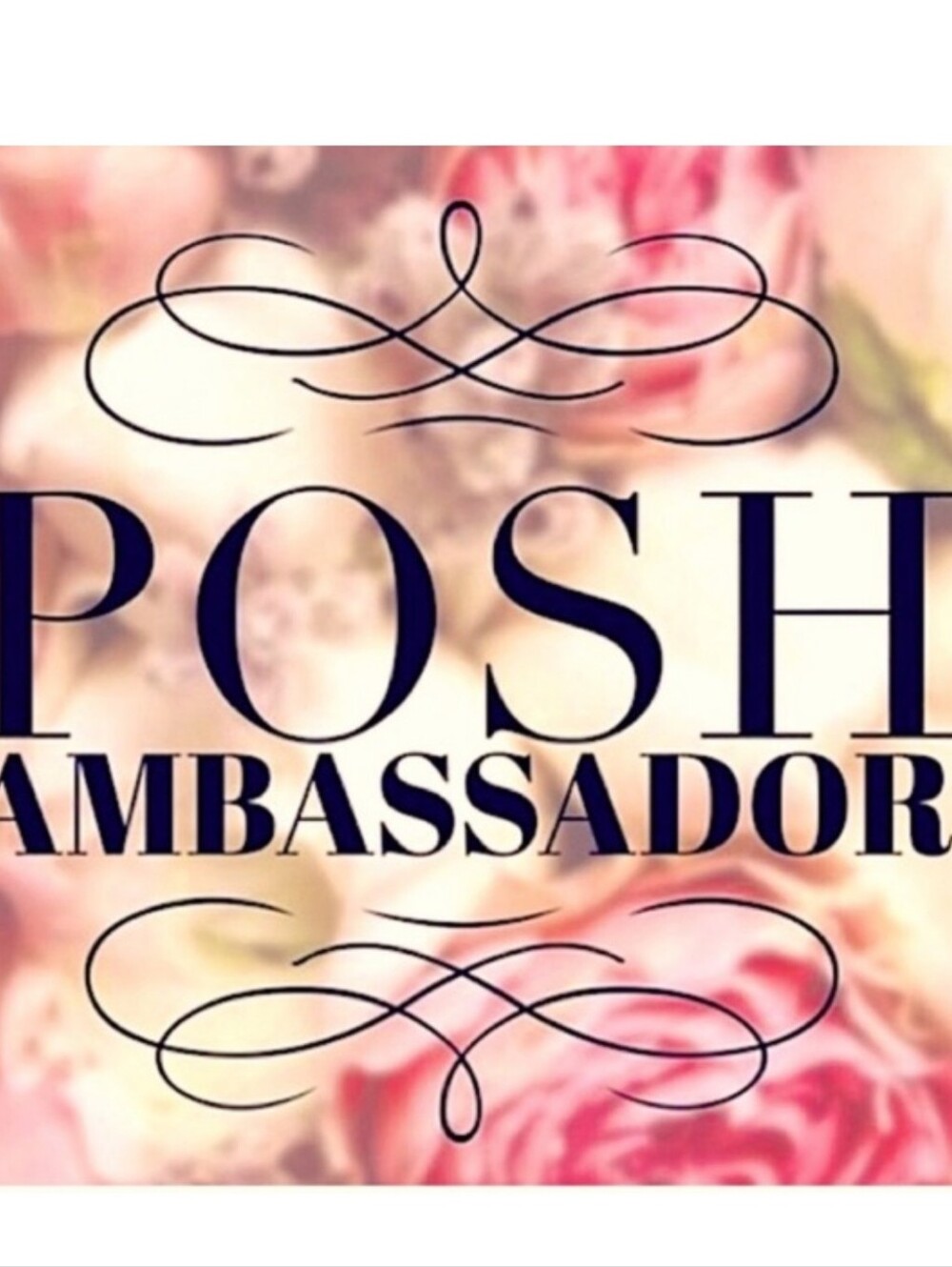 Posh Ambassador